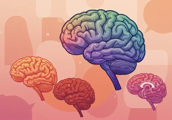 Colorful brains representing the concept of neurodiversity.